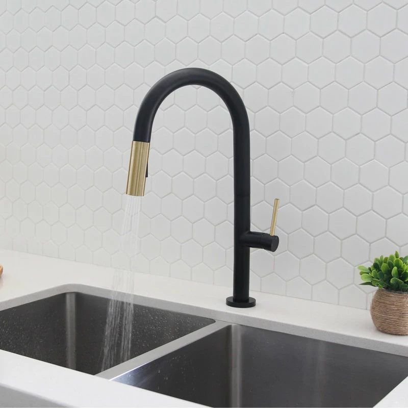 Discount 😀 Stylish Single Handle Pull Down Sprayer Kitchen Faucet In Matte Black/Gold Finish 🎁 - Image 3