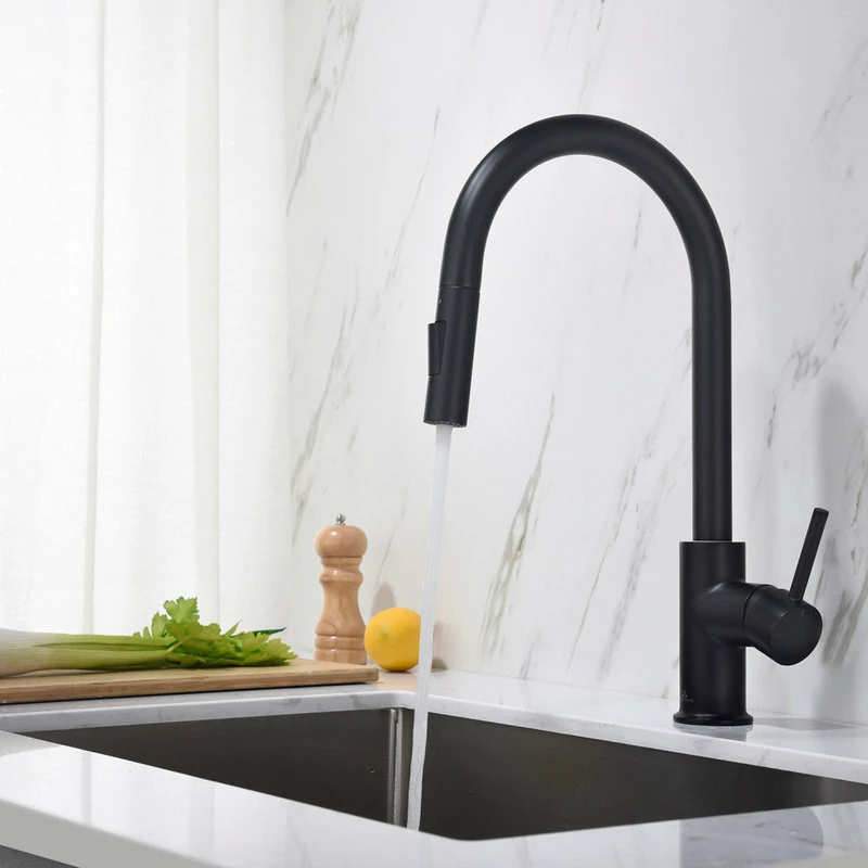 Buy 🥰 Blossom Kitchen & Bath Supply Brass Single Handle Pull Out Kitchen Faucet, Matte Black ❤️ - Image 6