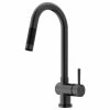 Buy ✨ VIGO Gramercy Pull Down Kitchen Faucet, Matte Black 👏