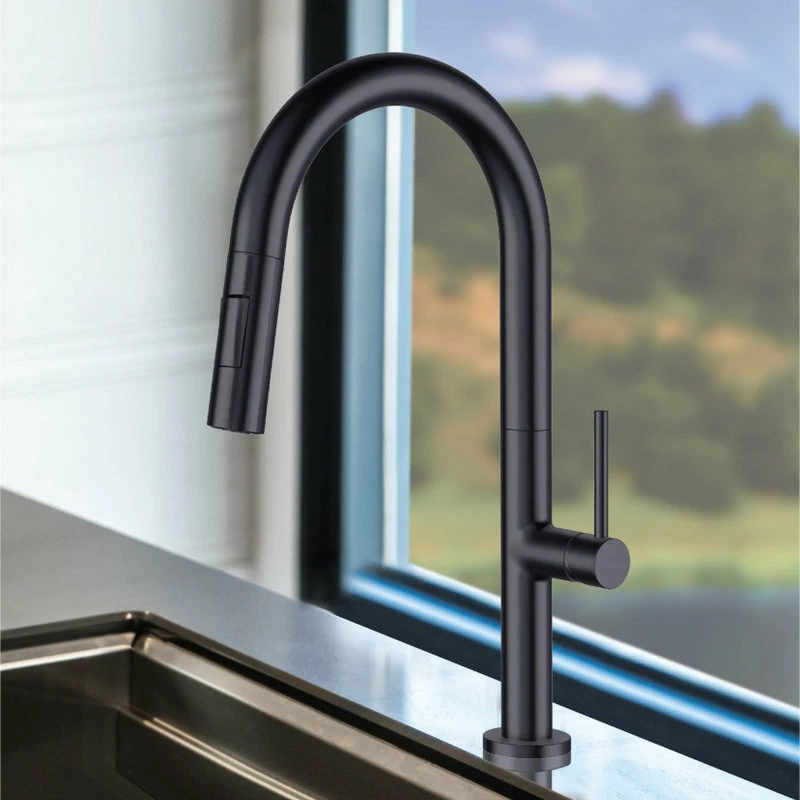 Promo π Fine Fixtures Pull Down Single Handle Kitchen Faucet, Black/Satin Brass π - Image 5