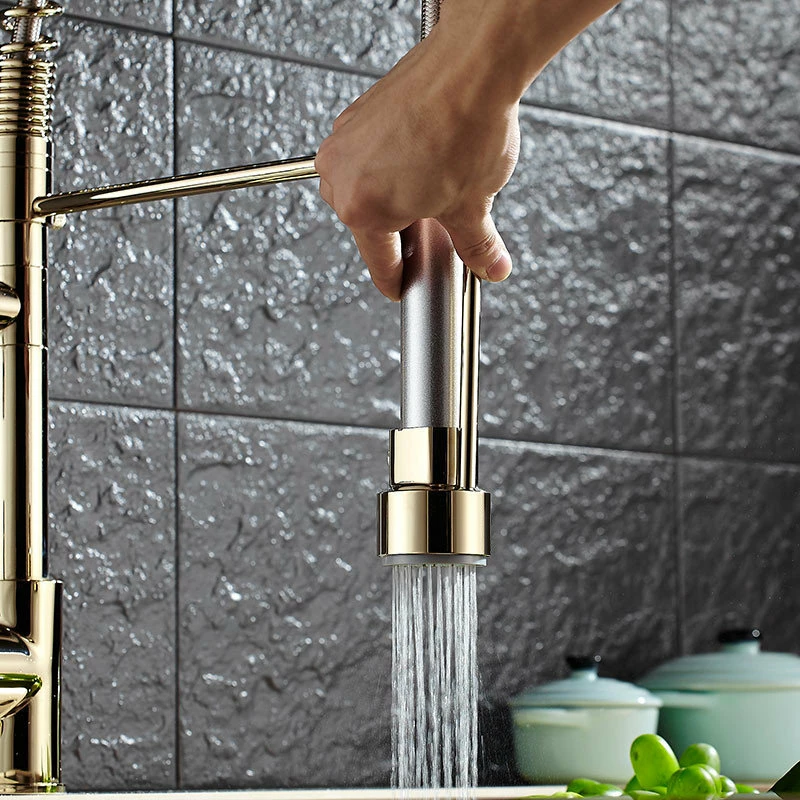 Buy 🔔 Homary Single Hole Pull Out Spring Sprayer Dual Spout Kitchen Faucet Brass In Gold ⭐ - Image 4