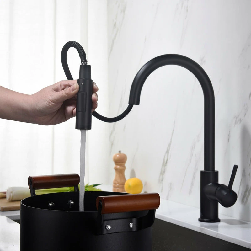 Buy 🥰 Blossom Kitchen & Bath Supply Brass Single Handle Pull Out Kitchen Faucet, Matte Black ❤️ - Image 3