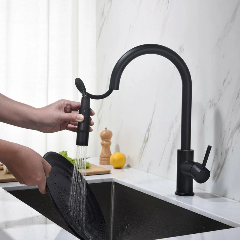 Buy 🥰 Blossom Kitchen & Bath Supply Brass Single Handle Pull Out Kitchen Faucet, Matte Black ❤️ - Image 2