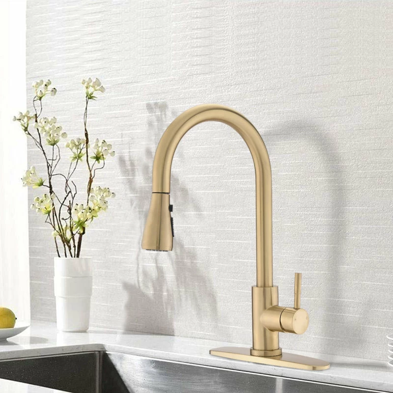 Coupon ✨ Maxwell Bathroom & Kitchen Inc Pull Down Single Handle Kitchen Faucet, Brushed Gold 🤩 - Image 2