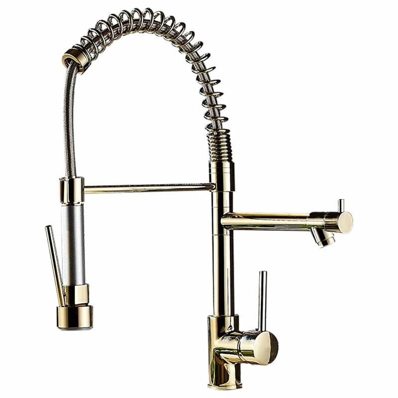 Buy 🔔 Homary Single Hole Pull Out Spring Sprayer Dual Spout Kitchen Faucet Brass In Gold ⭐